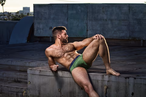 TheGayGaston