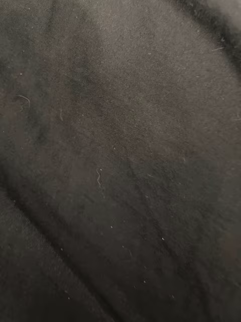 ZeecoPuppy