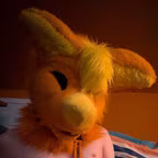 Asii