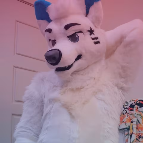 Techno Fox