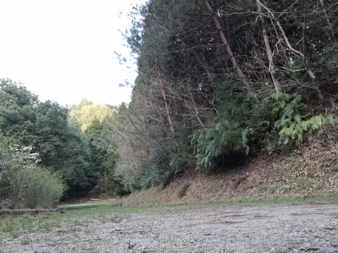 そるば