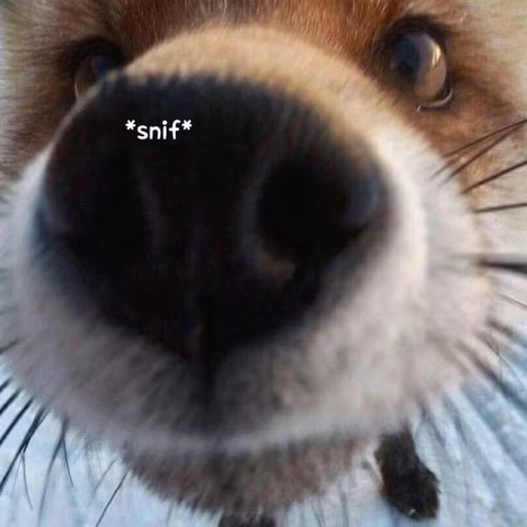 Secretaccounttobegay